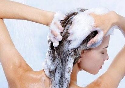 头皮发丝常常油腻不堪 高温预警下的清爽护发方案